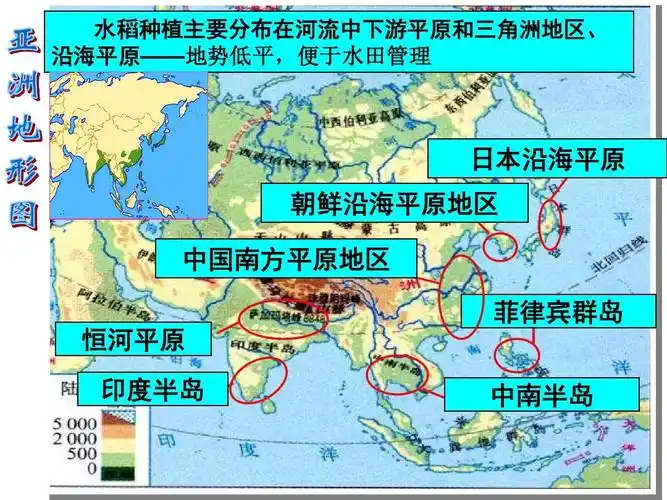 种植业为主422(共64张ppt)_word文档在线阅读与下载_免费文档