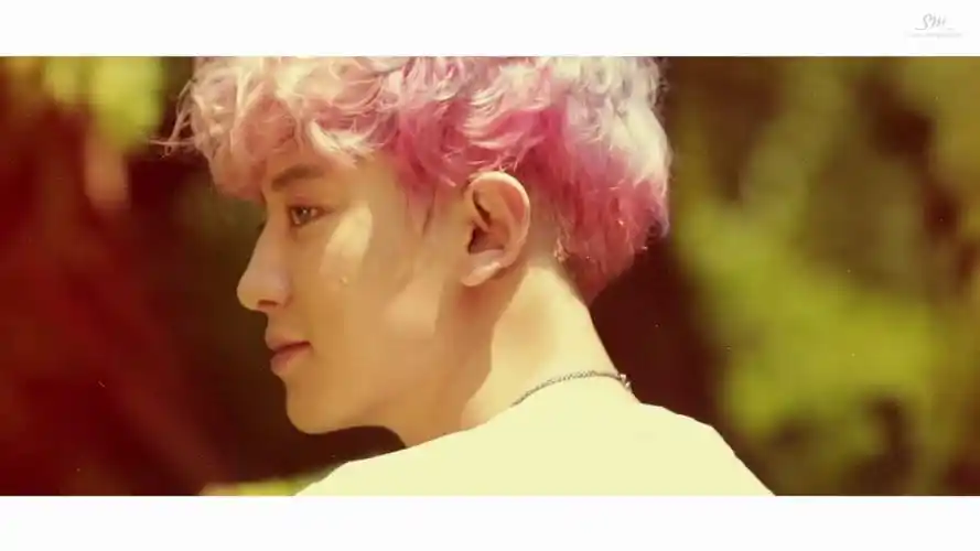 kokobop - 堆糖,美图壁纸兴趣社区