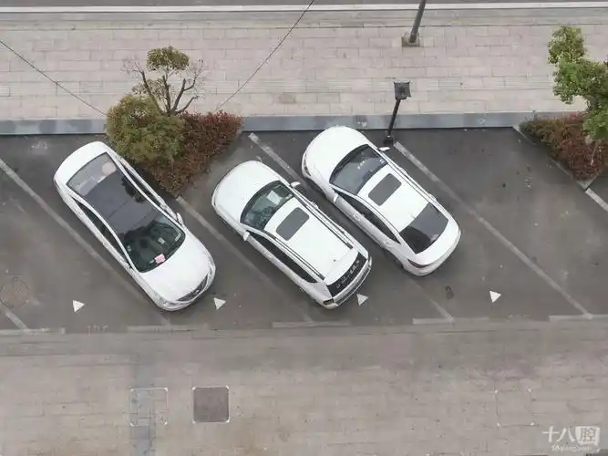 佛堂蟠龙小区外围的停车位,今早车位上刮了个箭头,车头朝里.