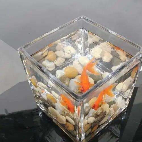 【全网低价】长方形玻璃缸 四方形玻璃方缸 微景观玻璃缸方缸图片