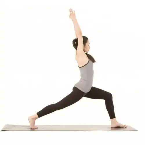 左侧高弓步扭转