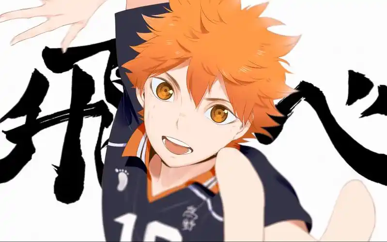 【排球少年】飞跃巅峰