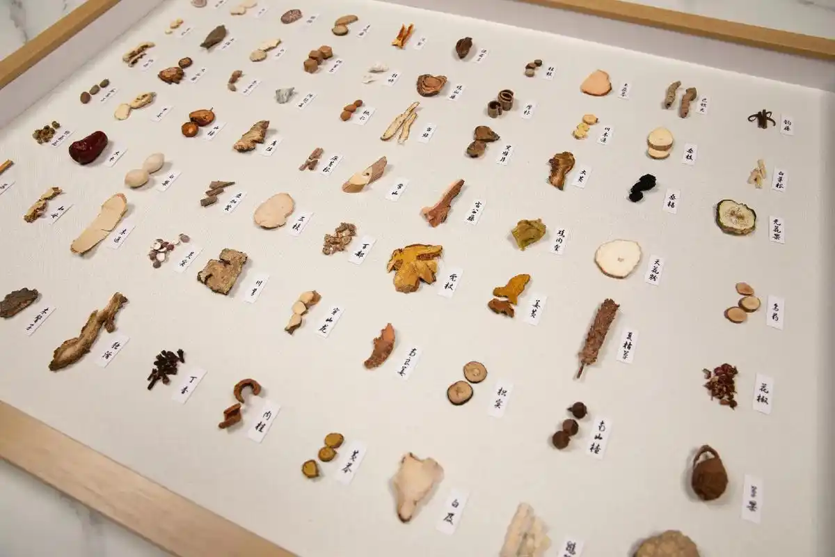 中草药标本,纯手工制作.这是客户订制的中草药标本,中药标本并 - 抖音