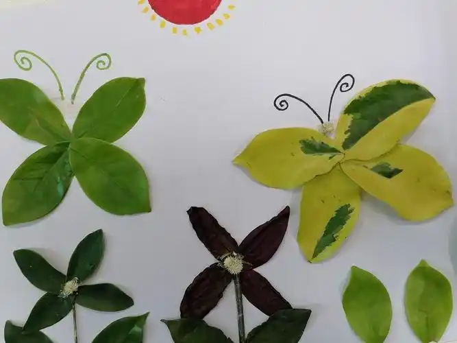 精美的植物贴画