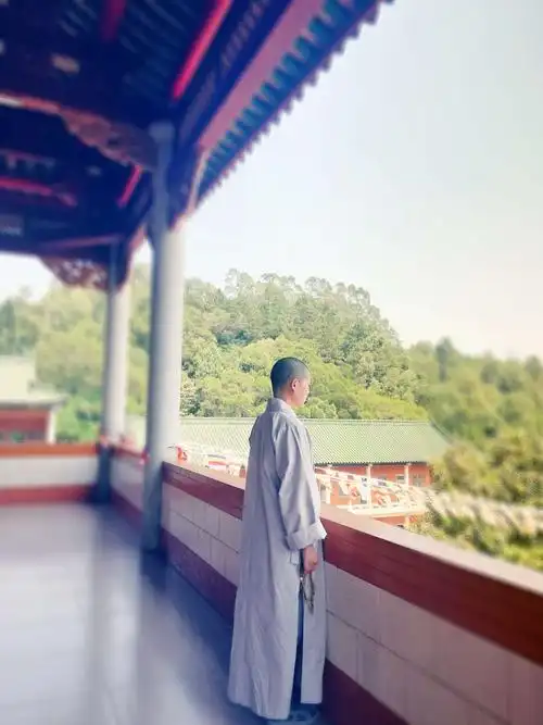 微语‖你那么年轻为什么出家!