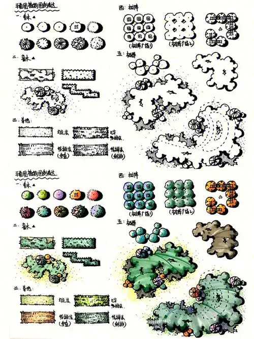 景观平面图植物图例的手绘表达一