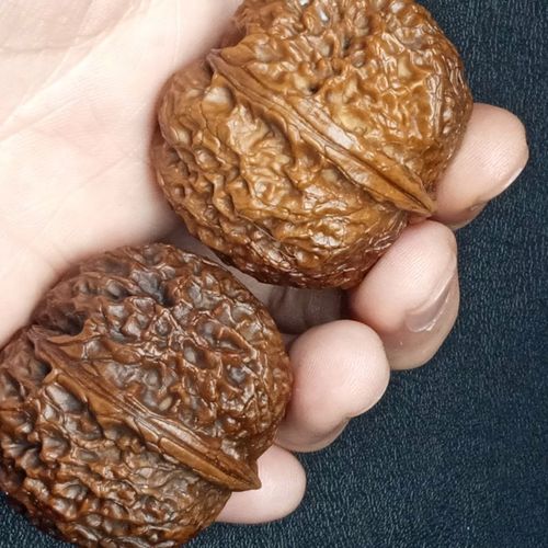 文玩云南南铁核桃自然落地七彩元宝阴皮手把小众木作