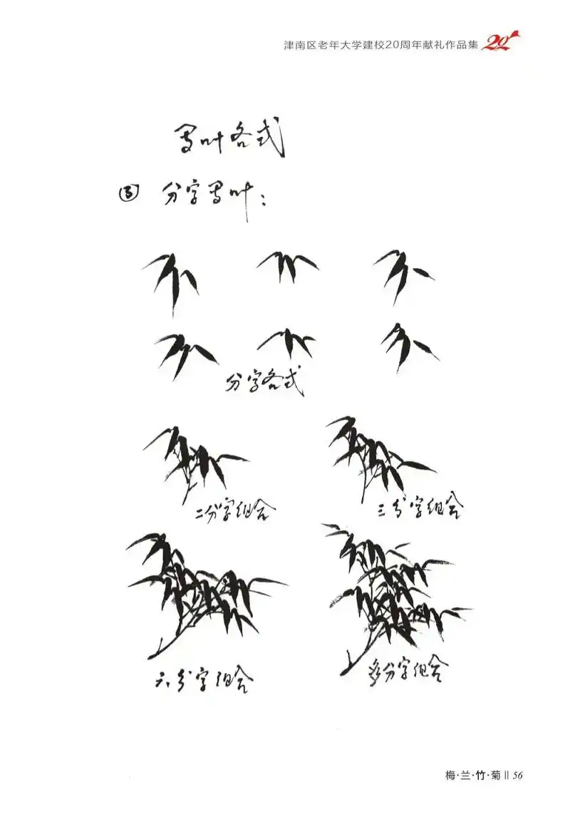 和李宝春老师一起学画竹子(3)
