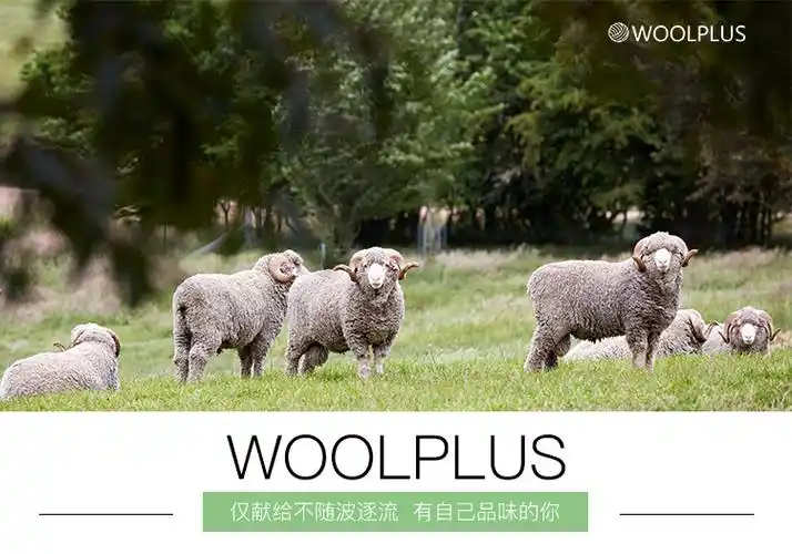 澳大利亚woolmark合作品牌100美丽诺羊毛t恤轻薄排汗速干185微米可机