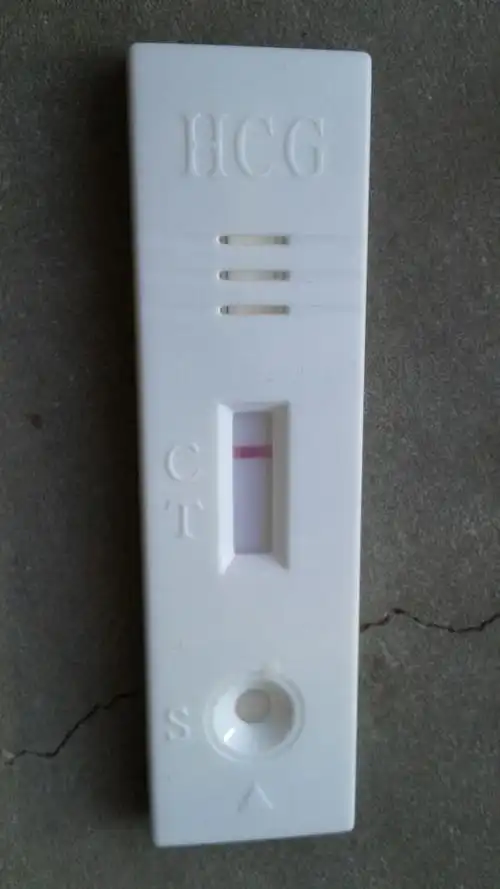 大姨妈迟到了十天了,今天早上用试纸试了,大家帮我看看是不是没怀孕?