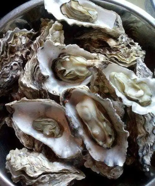 生蚝和海蛎子看着像双胞胎区别却很大老渔民来教你怎样分辨