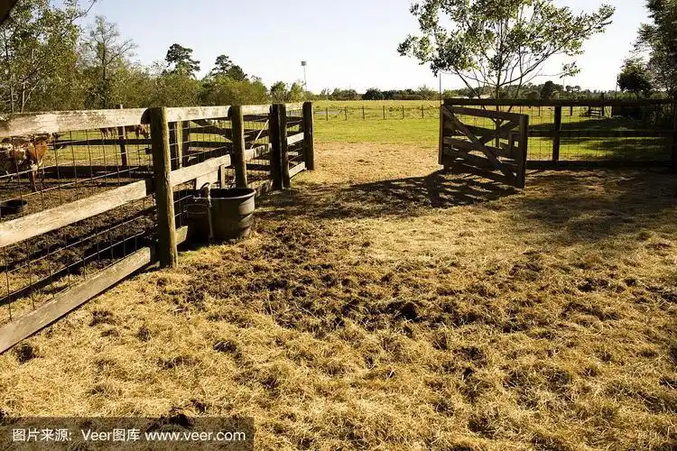 空牛圈,动物圈.农场,农场畜栏.干草,牧场.