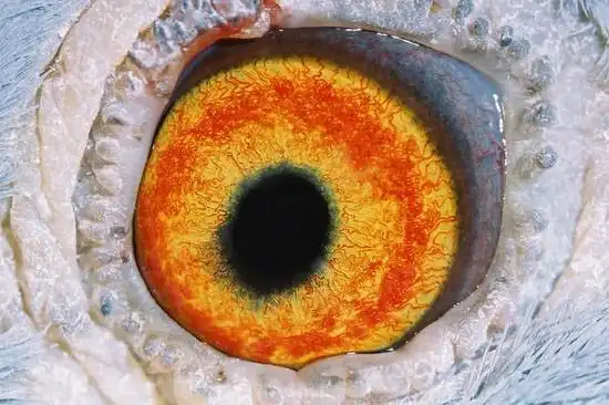 07—248974 ♀ 眼志