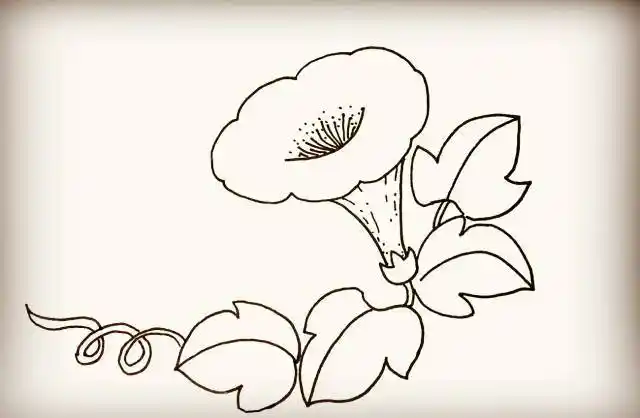 简笔画-喇叭花