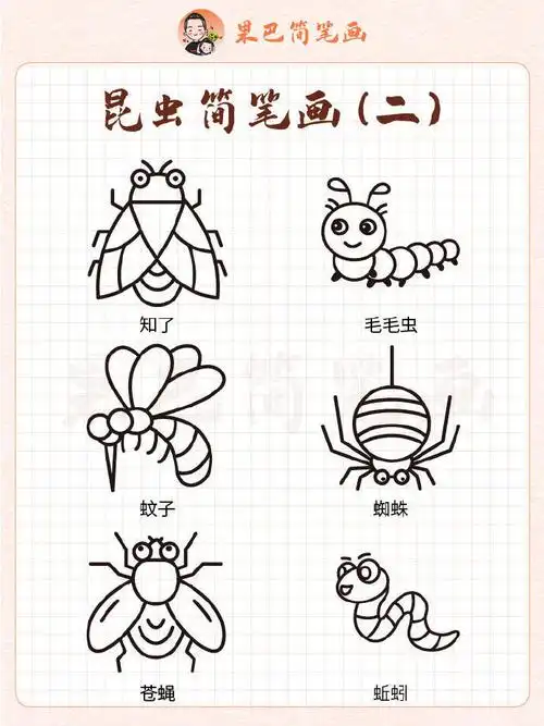 爸爸给我和妹妹买了两个虫#各种昆虫简笔画,喜欢的存好了