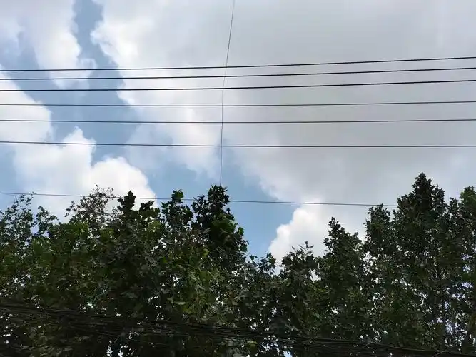 华为nova7原相机