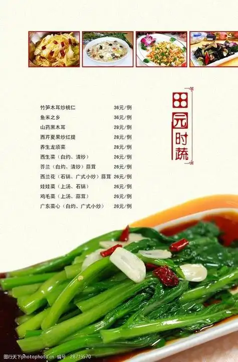蔬菜菜谱大全图片大全(蔬菜菜单大全菜名大全图片)
