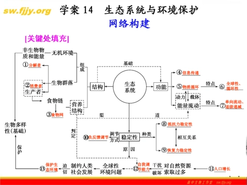 2012届高考生物二轮专题复习课件:知识专题6学案14-生态系统与环境