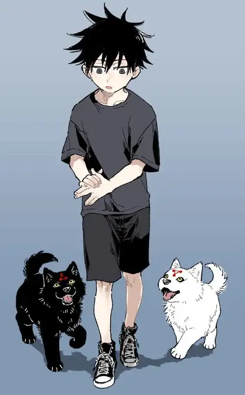 伏黑惠咒术回战