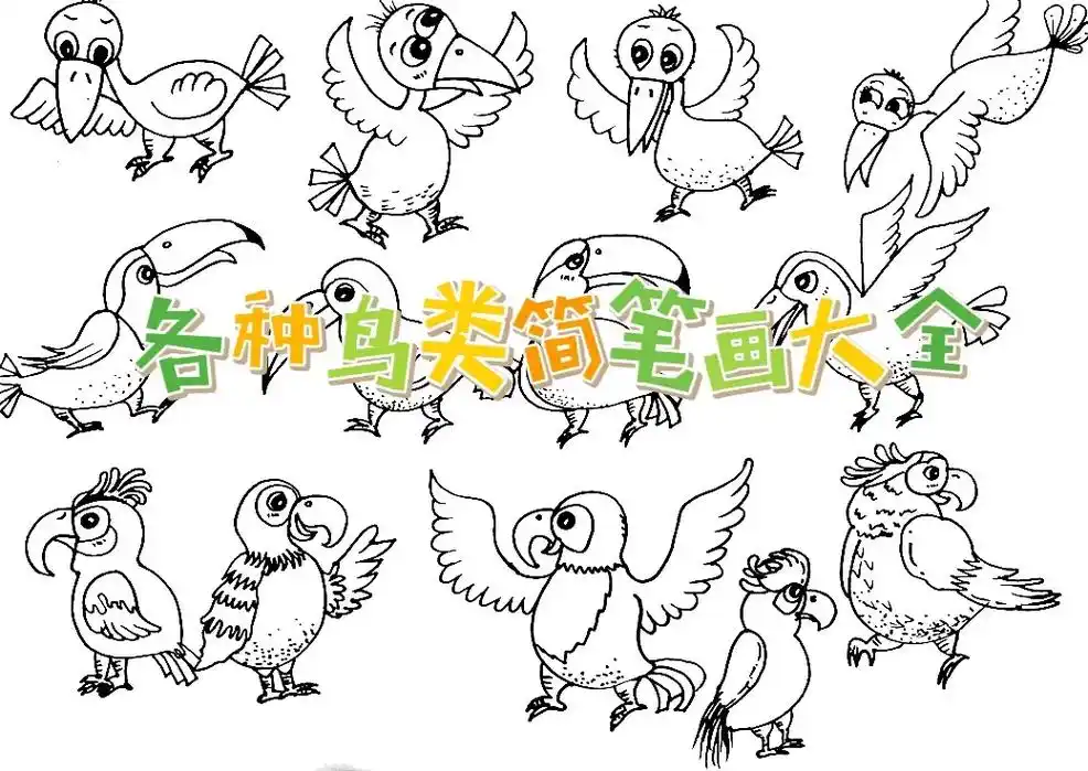 创作灵感 各种鸟类简笔画大全来啦#图文伙伴计划 - 抖音