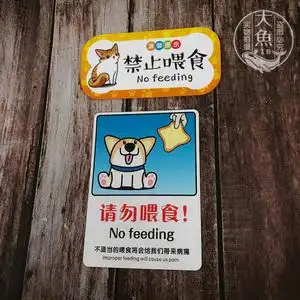 请勿喂食禁止喂食投食宠物店提示牌 动物标示牌猫狗标语亚克力牌