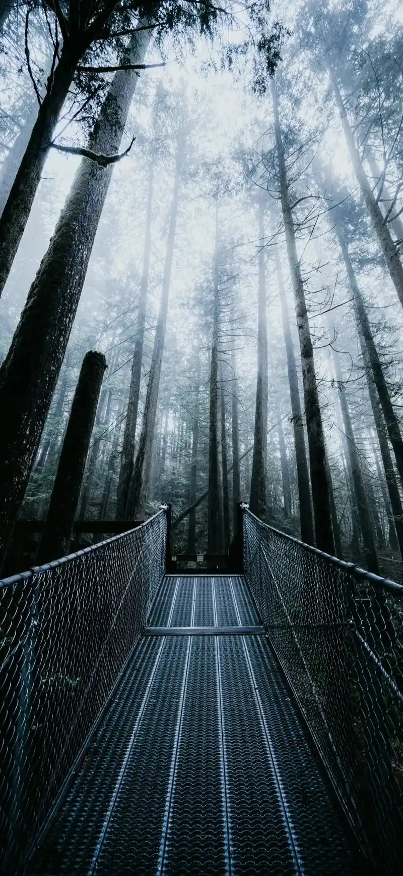 高清图片 #原创作品 苹果14/15promax 手机壁纸 - 抖音