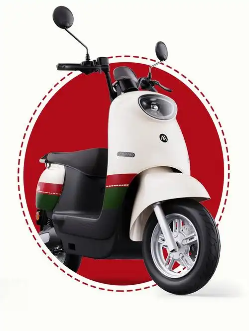 爱玛(aima)电动车60v时尚通勤电瓶车高速长跑电动轻便摩托车 欣果 礼