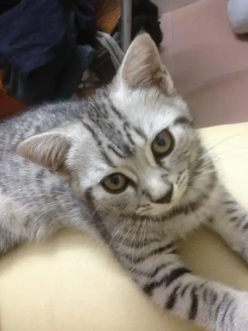  我来答      微信扫一扫 网络繁忙 请稍后重试 新浪微博 qq空间