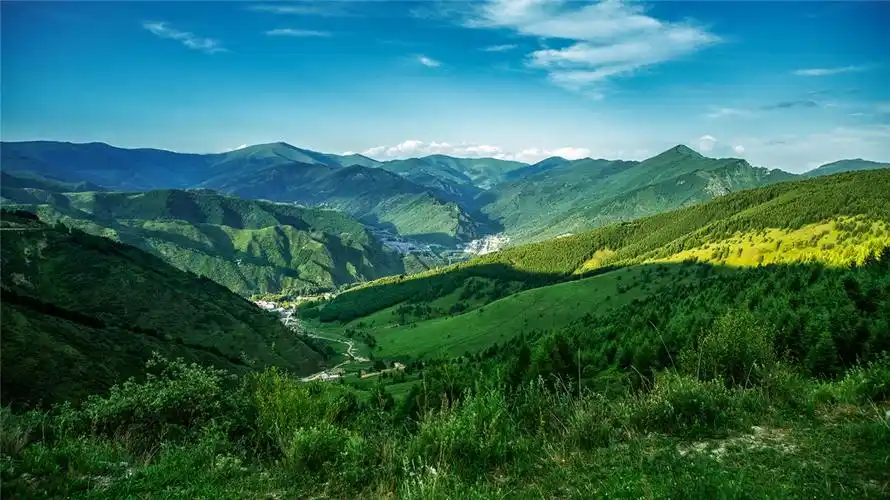 五台山高山草甸.山西省林草局供图