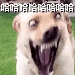 哈哈大笑的表情包整天就知道哈哈哈