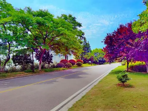 黄州初夏,风景如画