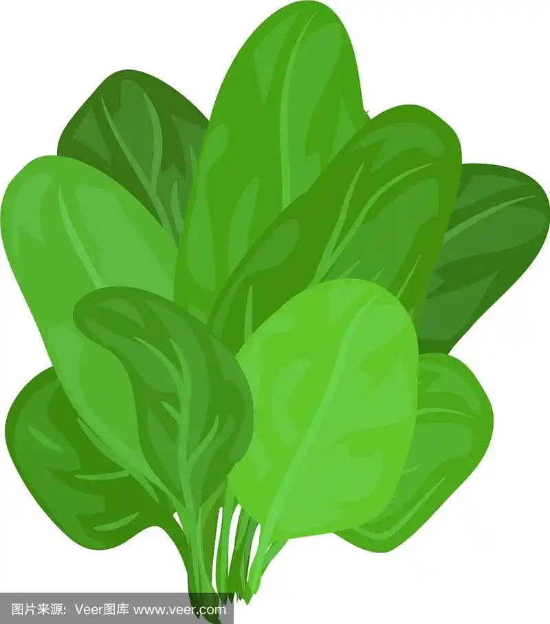 菠菜叶图标卡通风格