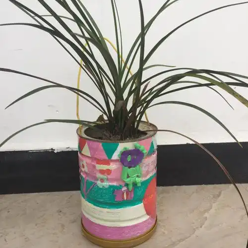 时光,见证我们的成长(十五)—"家园心连心,巧手做花盆"