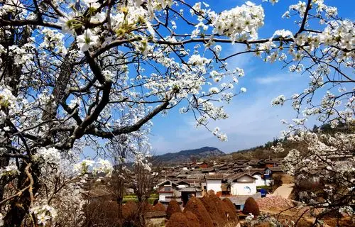 西邑镇概况-鹤庆县人民政府网站