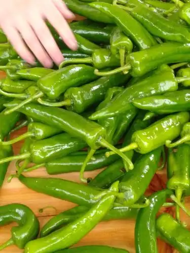 长椒 纯天然无公害,肉厚爽甜