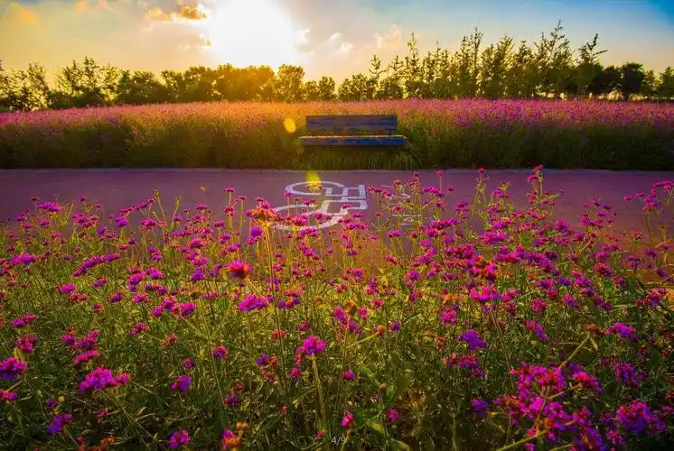 抖音网红姚大来宿迁了,还拍了超唯美的mv!