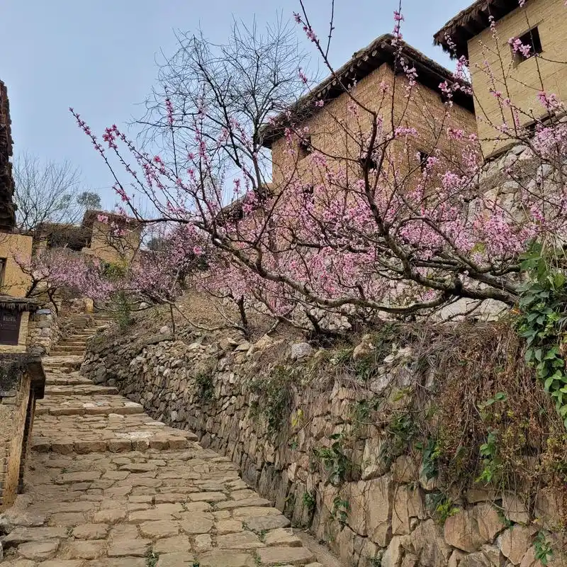 云南红河州泸西县的城子古村,土掌房的博物馆