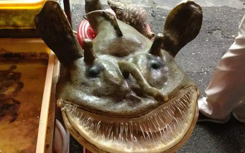 活动作品吐播警告敲好次的安康鱼生产全过程