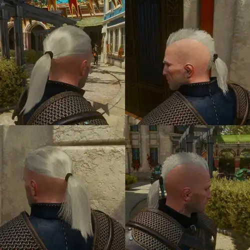 巫师3:狂猎杰洛特剃过的发型mod 绿色免费版