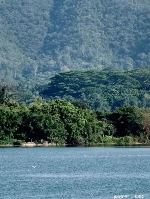 东莞同沙生态公园有新变化!