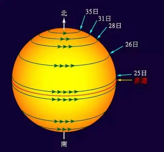 图示:太阳的自转周期,不同纬度的太阳,自转周期不同,这就是气态天体和