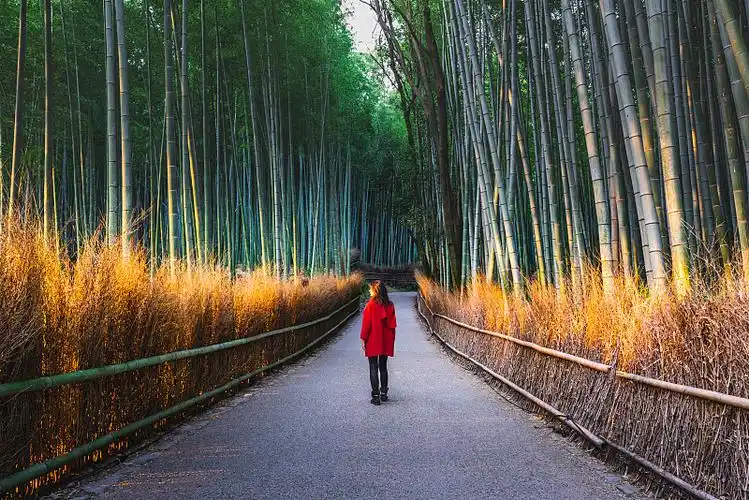 在野外行走的女游客图片素材
