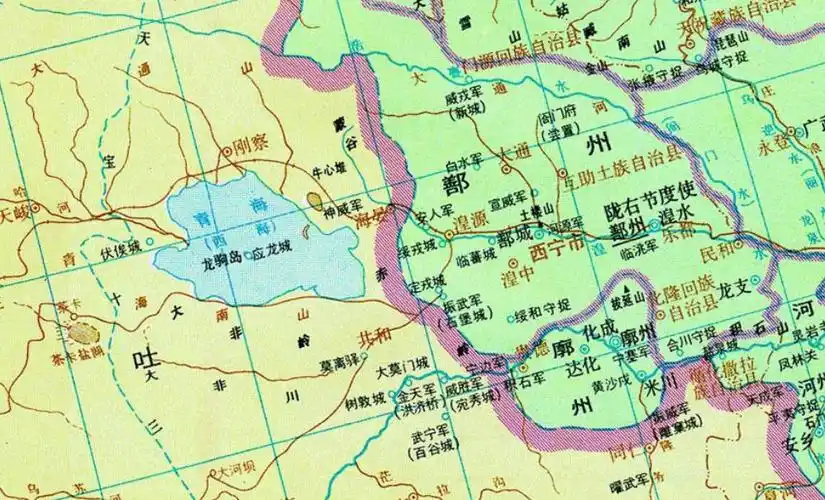 陇右道东部图南部局部放大