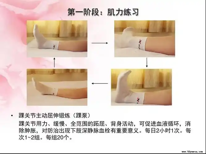 骨关节炎及术后康复锻炼