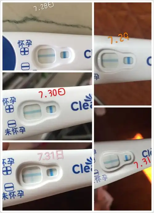 可丽蓝测试纸,连续三天对比,有加深吗,大卫还是很淡