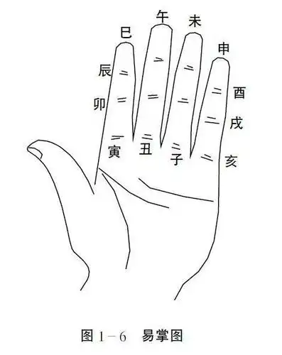 易学技巧马颜飞教你三步记住十天干生旺死绝表