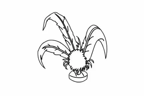 毽子简笔画简单画法步骤图解教程及图片大全