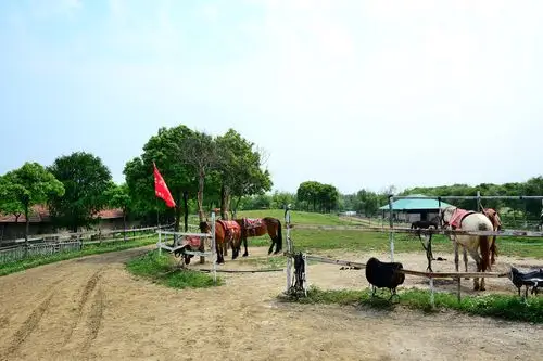 昆山星期九休闲农庄闲逛