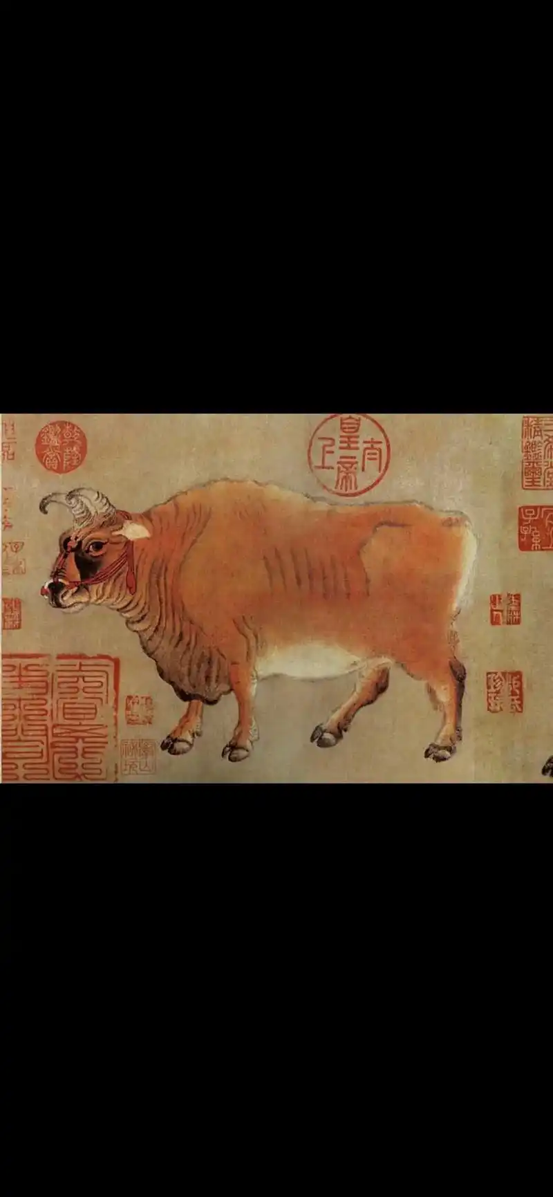 《五牛图》是中国十大传世名画,少数几件唐代传世纸绢画作品真迹 - 抖
