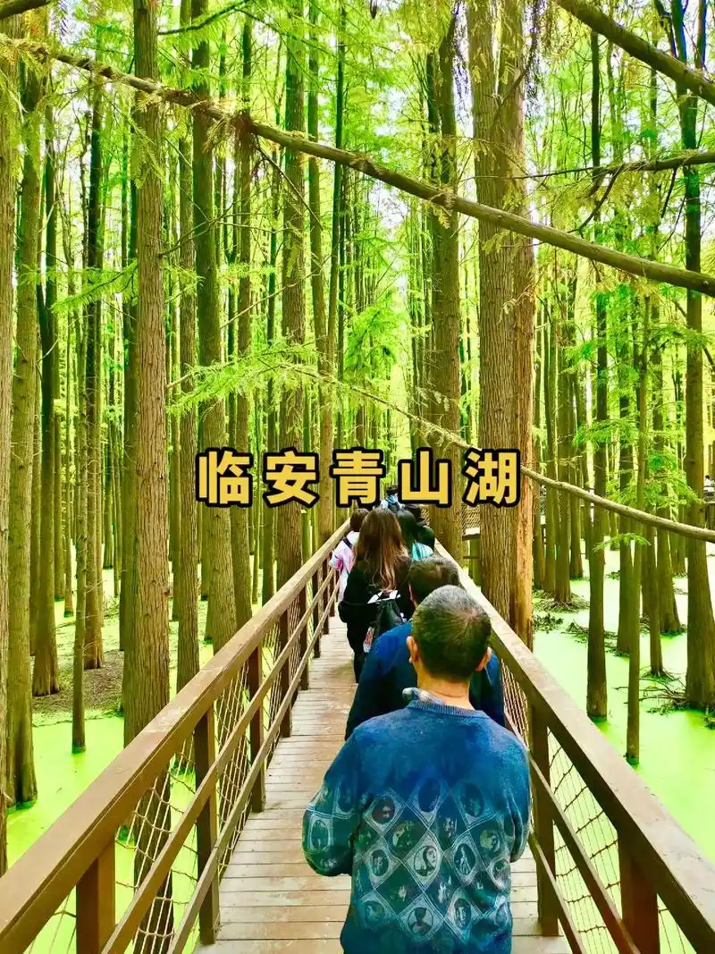 临安青山湖景区是一个以自然风光为主的休闲旅游胜地 - 抖音